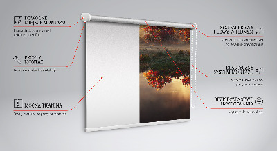 Store enrouleur occultant coucher de soleil derrière les arbres