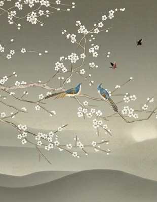 Store occultant fenêtre avec motif d’oiseaux posés sur une branche