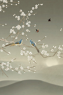 Store occultant fenêtre avec motif d’oiseaux posés sur une branche