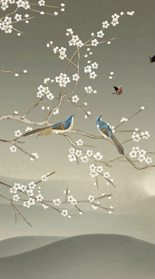Store occultant fenêtre avec motif d’oiseaux posés sur une branche