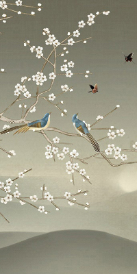 Store occultant fenêtre avec motif d’oiseaux posés sur une branche