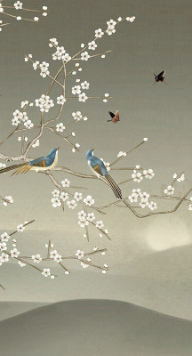Store occultant fenêtre avec motif d’oiseaux posés sur une branche