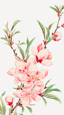 Store occultant fenêtre à fleurs roses