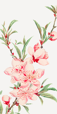 Store occultant fenêtre à fleurs roses