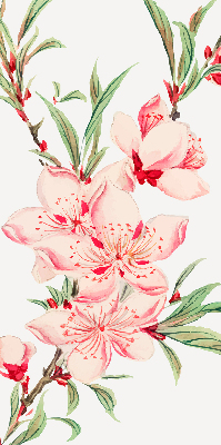 Store occultant fenêtre à fleurs roses