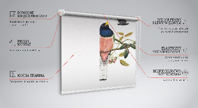 Store fenêtre intérieur avec des oiseaux sur les branches