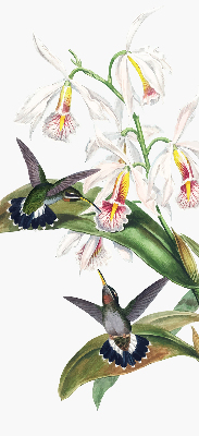 Store enrouleur occultant avec motif d’oiseaux sur une fleur