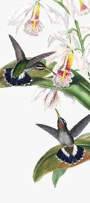 Store enrouleur occultant avec motif d’oiseaux sur une fleur