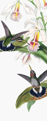 Store enrouleur occultant avec motif d’oiseaux sur une fleur