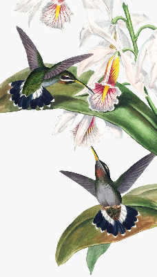 Store enrouleur occultant avec motif d’oiseaux sur une fleur