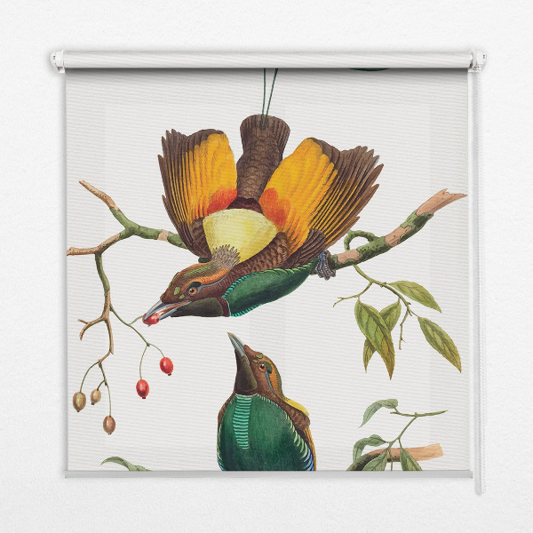 Store occultant fenêtre avec motif d’oiseaux sur une branche