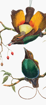 Store occultant fenêtre avec motif d’oiseaux sur une branche