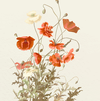 Store enrouleur occultant avec motif coquelicots