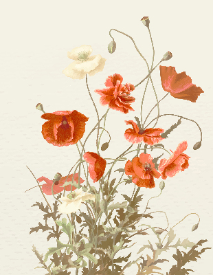 Store enrouleur occultant avec motif coquelicots