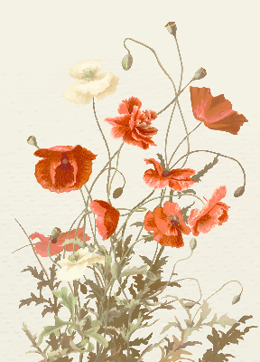 Store enrouleur occultant avec motif coquelicots