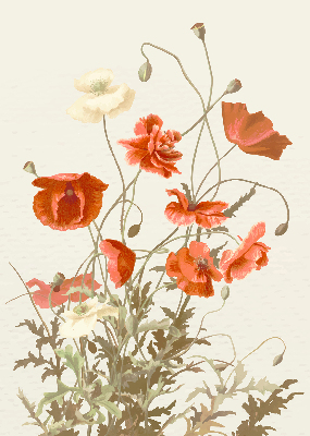 Store enrouleur occultant avec motif coquelicots