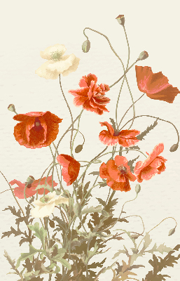 Store enrouleur occultant avec motif coquelicots