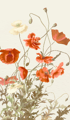 Store enrouleur occultant avec motif coquelicots
