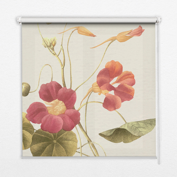 Store occultant fenêtre en fleur