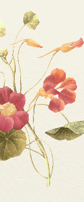 Store occultant fenêtre en fleur