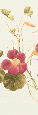 Store occultant fenêtre en fleur