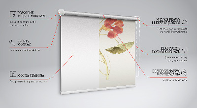 Store occultant fenêtre en fleur