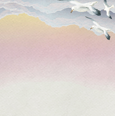 Store enrouleur occultant avec motif d'oiseaux volants