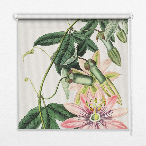 Store enrouleur occultant à motif fleur rose
