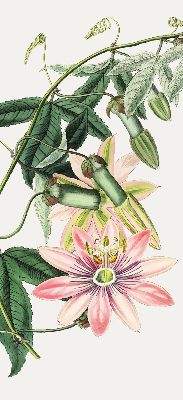 Store enrouleur occultant à motif fleur rose
