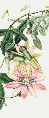 Store enrouleur occultant à motif fleur rose