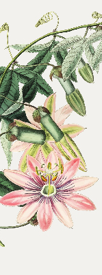 Store enrouleur occultant à motif fleur rose