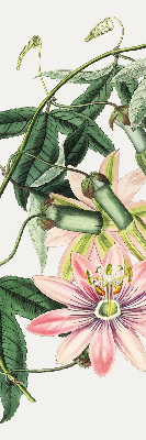 Store enrouleur occultant à motif fleur rose