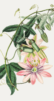 Store enrouleur occultant à motif fleur rose