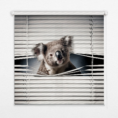 Store enrouleur occultant koala