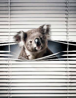 Store enrouleur occultant koala
