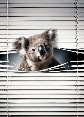 Store enrouleur occultant koala
