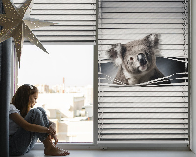 Store enrouleur occultant koala