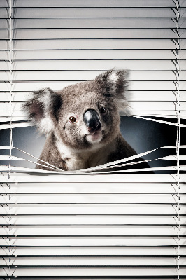Store enrouleur occultant koala
