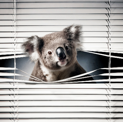 Store enrouleur occultant koala