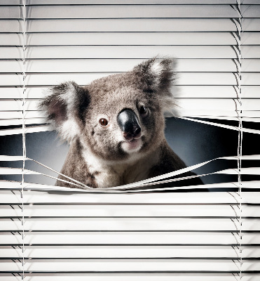 Store enrouleur occultant koala