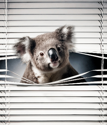 Store enrouleur occultant koala