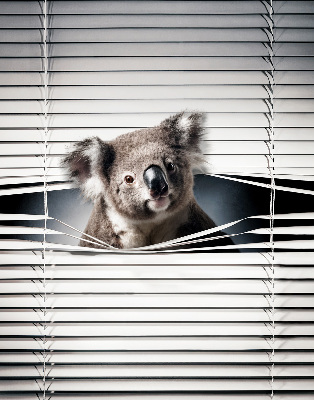 Store enrouleur occultant koala