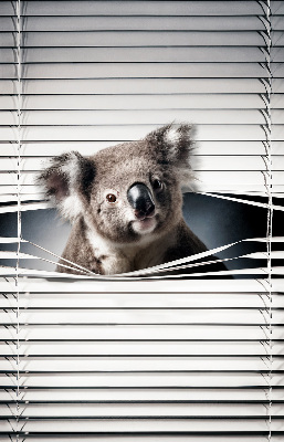 Store enrouleur occultant koala