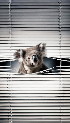 Store enrouleur occultant koala