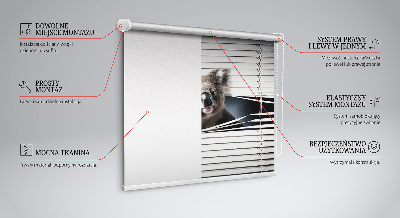 Store enrouleur occultant koala