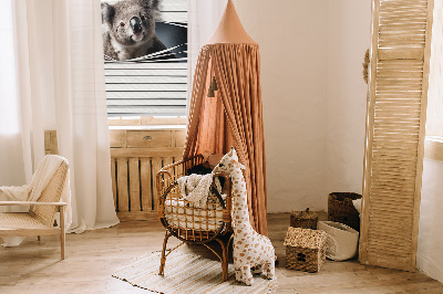 Store enrouleur occultant koala