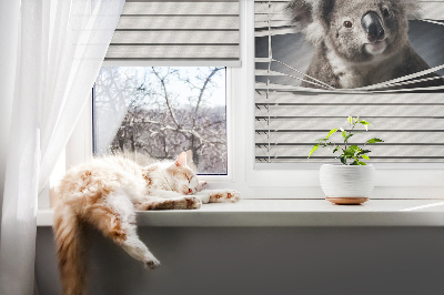 Store enrouleur occultant koala