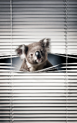 Store enrouleur occultant koala