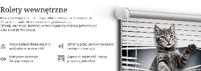 Store occultant pour fenêtre