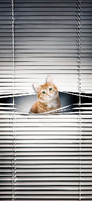 Store fenêtre intérieur chat roux